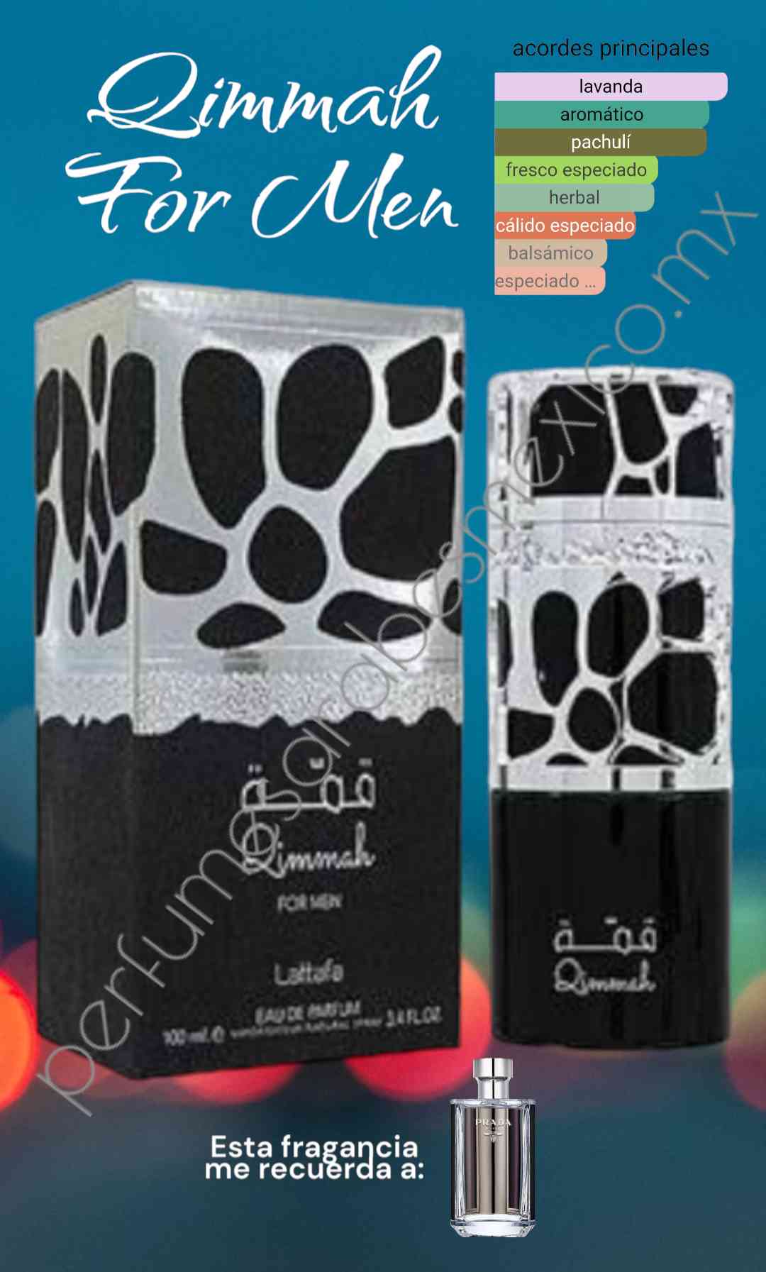 Qimmah for Men by Lattafa