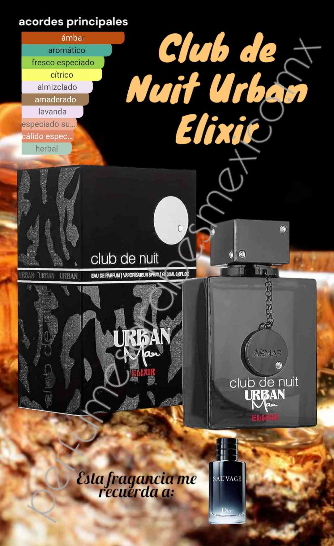 Club de Nuit Urban Man Elixir by ARMAF
