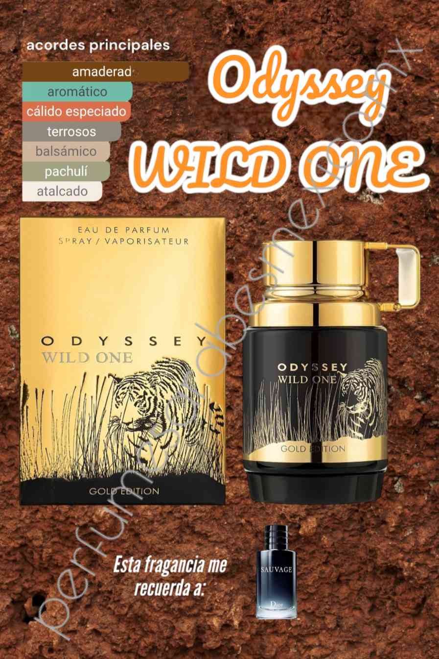 Odyssey WILD ONE by ARMAF