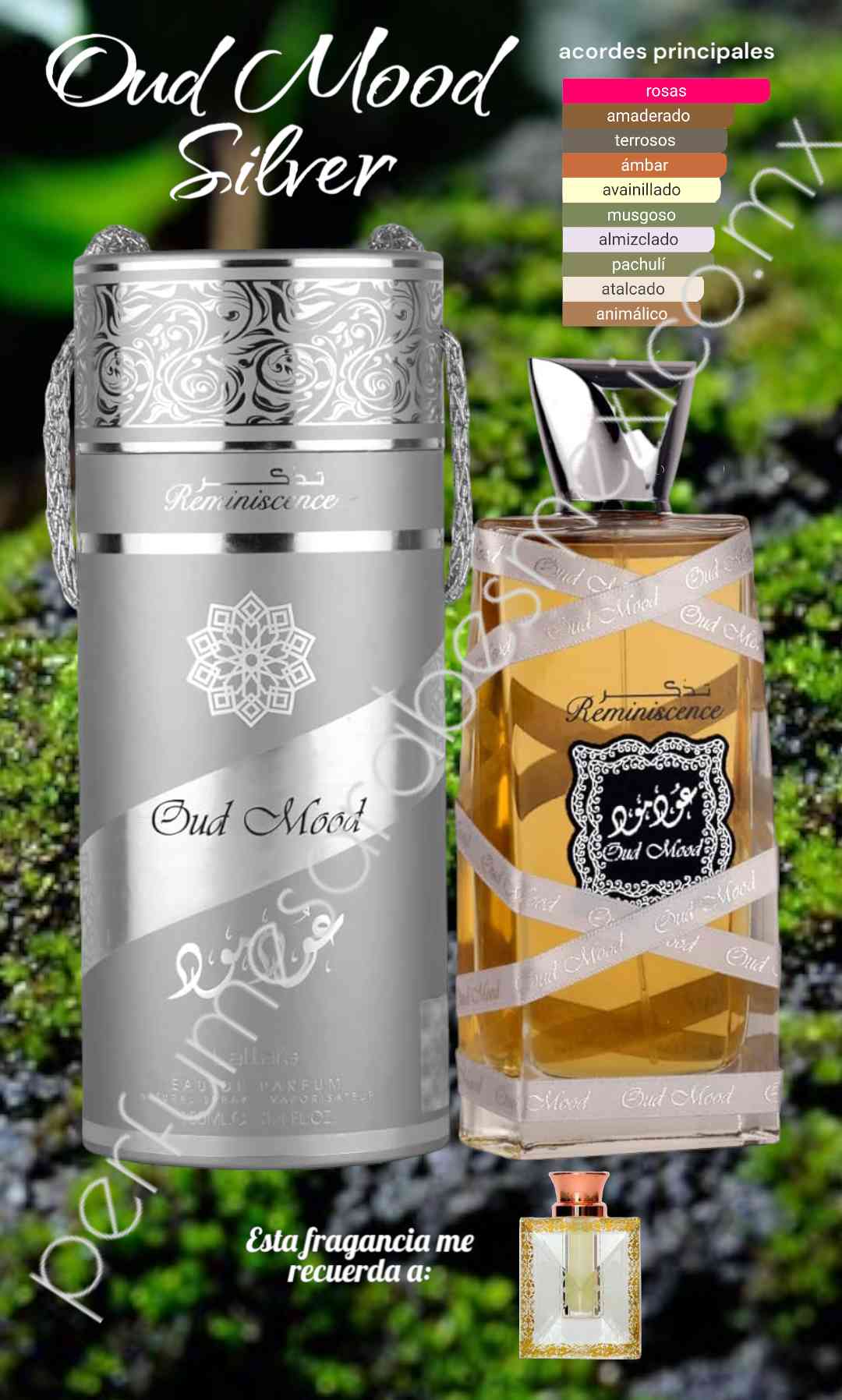 Oud Mood Silver