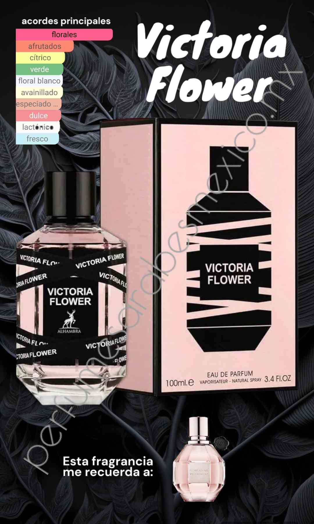 Victoria Flower by Maison Alhambra