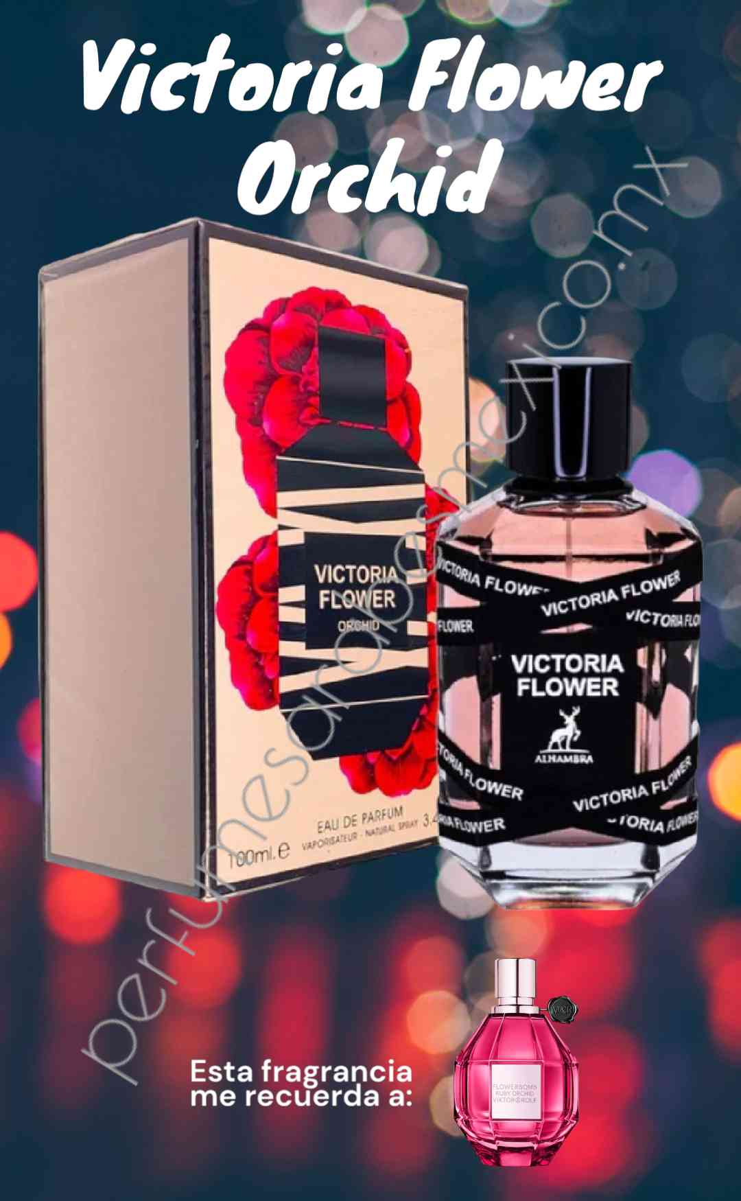 Victoria Flower Orchid by Maison Alhambra 100ml