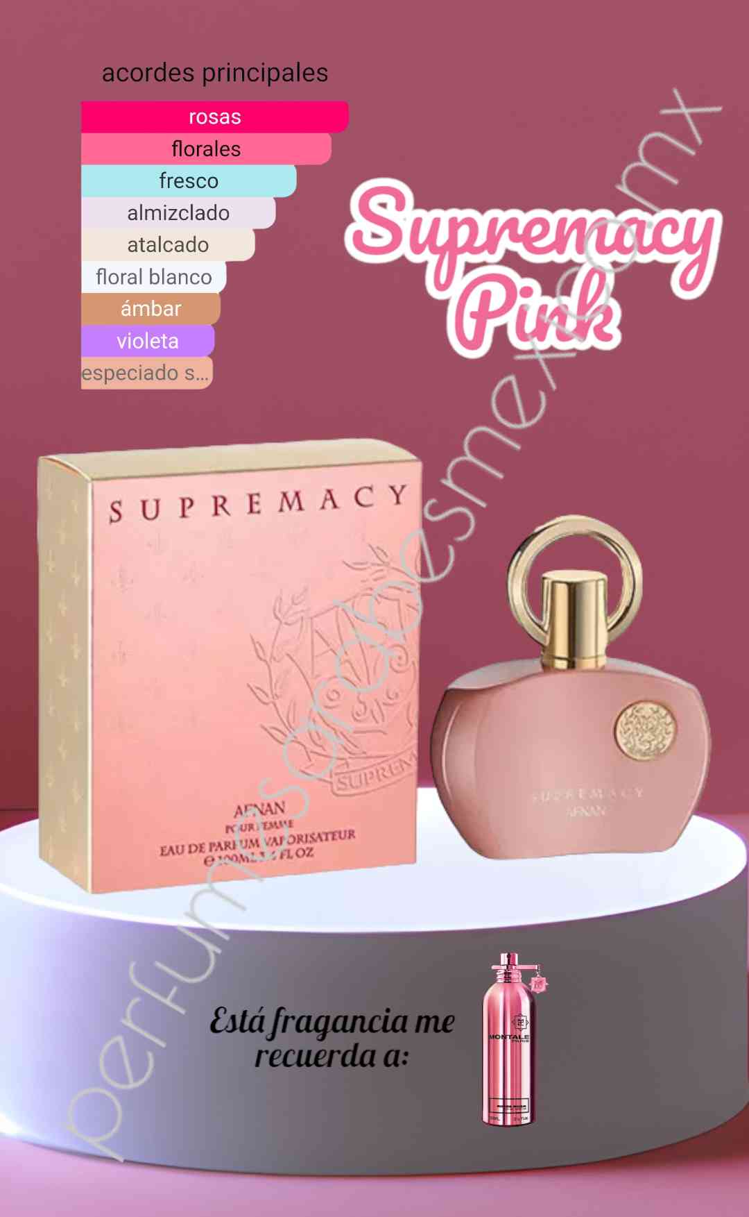 Supremacy pour Femme