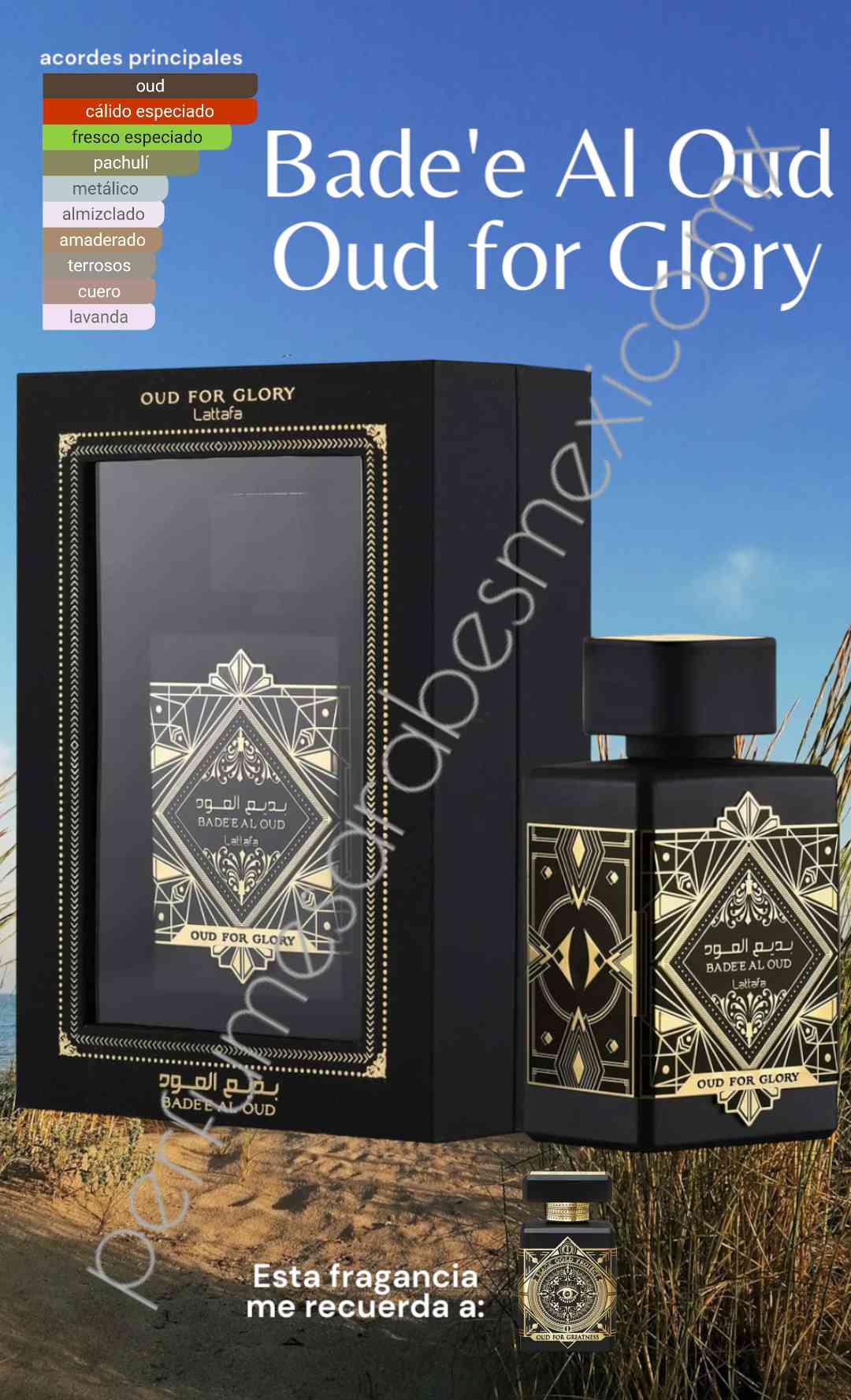 Oud for Glory Lattafa