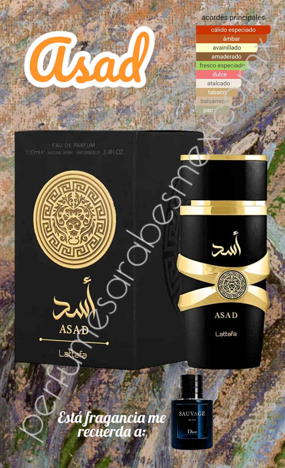 Asad Lattafa Perfumes