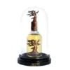 ❌ AGOTADO — Perfume Lattafa Perfumes Eternal Oud 100 ml